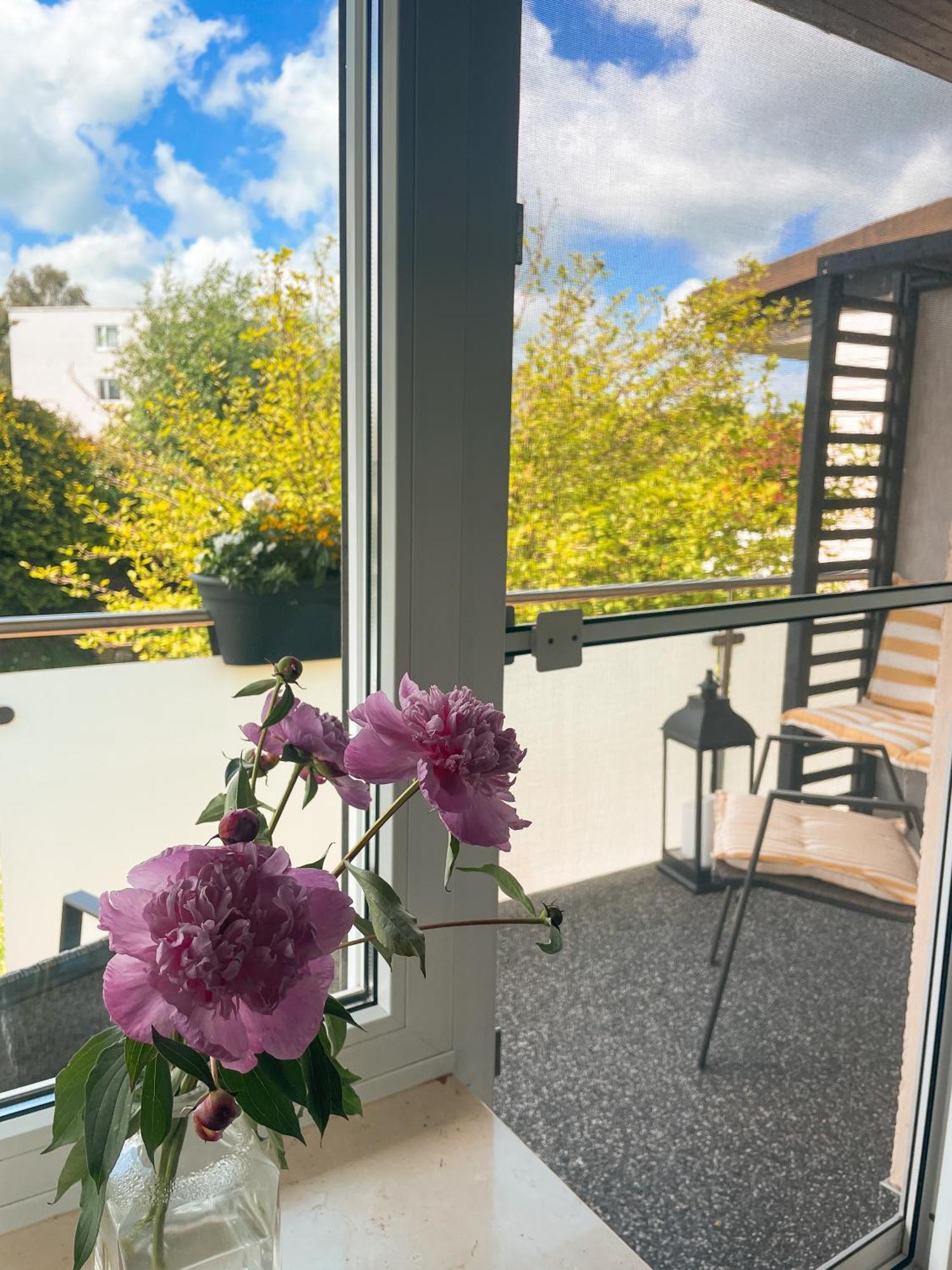 Appartment Paula Wolfhagen Экстерьер фото